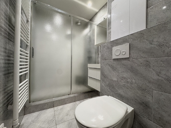 Pronájem bytu 2+1 v osobním vlastnictví 60 m², Chomutov