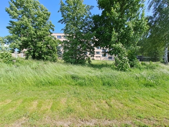 pohled od komunikace - Prodej pozemku 2803 m², Veselí nad Lužnicí