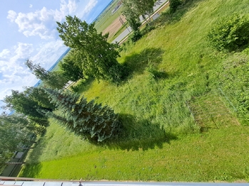 Pohled od panelového domu - Prodej pozemku 2803 m², Veselí nad Lužnicí