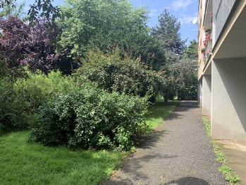 před domem - Pronájem bytu 2+kk v osobním vlastnictví 42 m², Rakovník