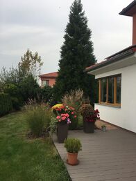 Pronájem domu 160 m², Velké Přílepy