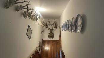 Pronájem bytu 3+kk v osobním vlastnictví 85 m², Praha 6 - Dejvice