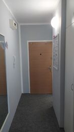 Pronájem bytu 1+kk v družstevním vlastnictví 27 m², Zábřeh