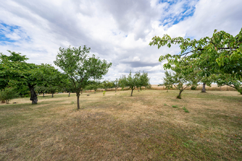 Prodej domu 241 m², Krásný Dvůr
