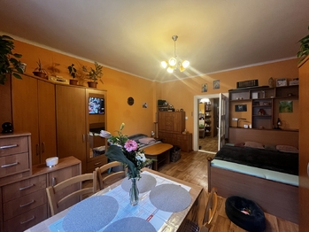 Prodej domu 332 m², Plzeň