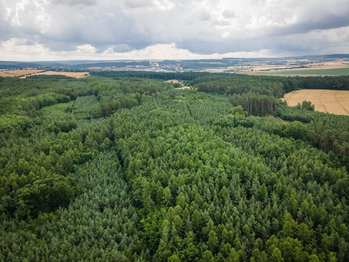 Prodej pozemku 1408 m², Olešná
