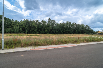 Prodej pozemku 1408 m², Olešná