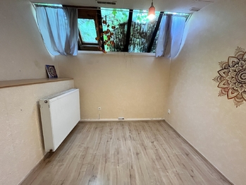 Pronájem obchodních prostor 140 m², Mladá Boleslav