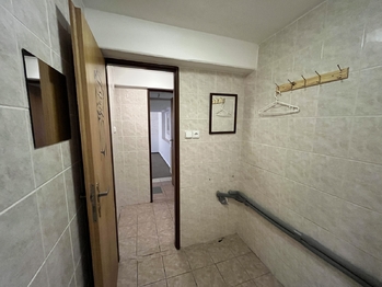 Pronájem obchodních prostor 140 m², Mladá Boleslav