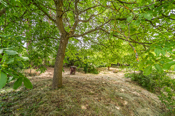 Prodej chaty / chalupy 55 m², Bílichov