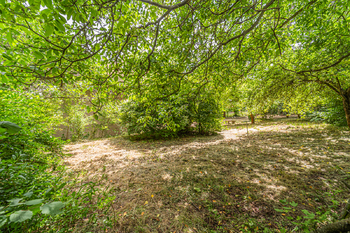 Prodej chaty / chalupy 55 m², Bílichov