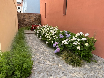 vnitroblok - vchod do domu - Pronájem bytu 3+kk v družstevním vlastnictví 54 m², Prachatice