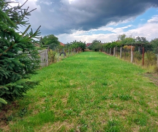 Prodej domu 80 m², Droužkovice