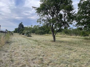 Prodej pozemku 1566 m², Břeclav