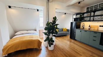 Ložnice - Pronájem bytu 1+kk v osobním vlastnictví 42 m², Praha 7 - Holešovice 