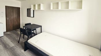 Pronájem bytu - pokoje v osobním vlastnictví 24 m², Brno