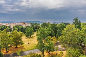 Výhled do Riegrových sadů - Pronájem bytu 2+1 v osobním vlastnictví 90 m², Praha 2 - Vinohrady
