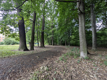 Prodej bytu 2+1 v osobním vlastnictví 49 m², Havířov