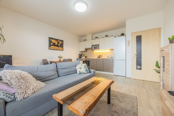 Pronájem bytu 2+kk v osobním vlastnictví 72 m², Plzeň