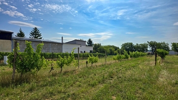 Prodej pozemku 1750 m², Ivaň