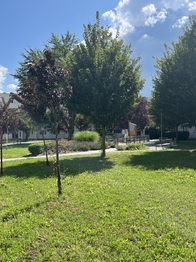 Prodej bytu 1+1 v osobním vlastnictví 34 m², Zlín