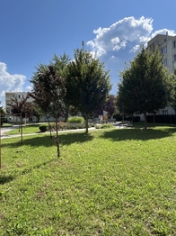 Prodej bytu 1+1 v osobním vlastnictví 34 m², Zlín