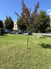 Prodej bytu 1+1 v osobním vlastnictví 34 m², Zlín