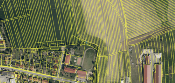 Prodej pozemku 4427 m², Vacenovice