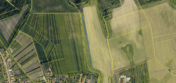 Prodej pozemku 4427 m², Vacenovice