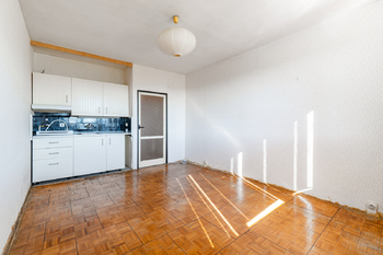 Prodej bytu 1+kk v osobním vlastnictví 27 m², Praha 4 - Braník