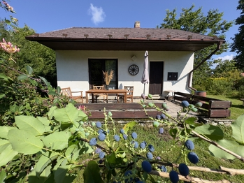 Prodej chaty / chalupy 62 m², Mladošovice