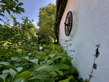 Prodej chaty / chalupy 62 m², Mladošovice