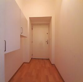 Pronájem bytu 1+1 v osobním vlastnictví 52 m², Plzeň