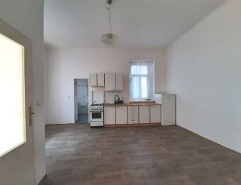 Pronájem bytu 1+1 v osobním vlastnictví 52 m², Plzeň