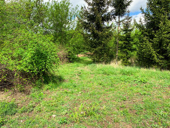 Prodej pozemku 1010 m², Říčany