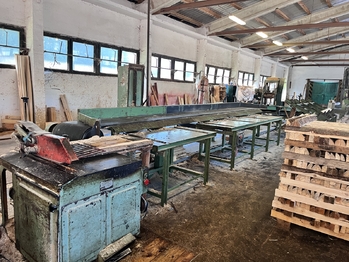Pronájem výrobních prostor 1100 m², Olešná