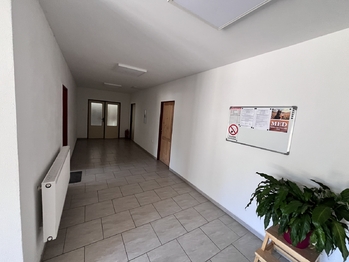 Pronájem výrobních prostor 1100 m², Olešná