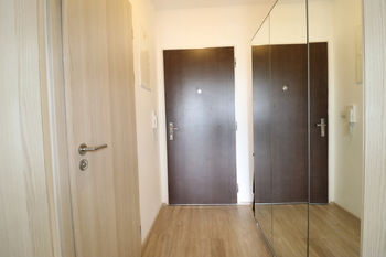 Pronájem bytu 1+kk v osobním vlastnictví 35 m², Praha 9 - Letňany