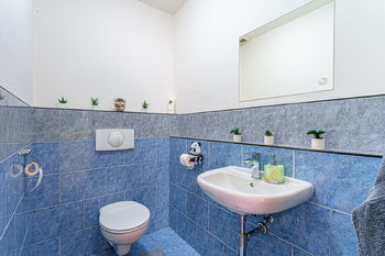 Prodej domu 306 m², Zlatníky-Hodkovice