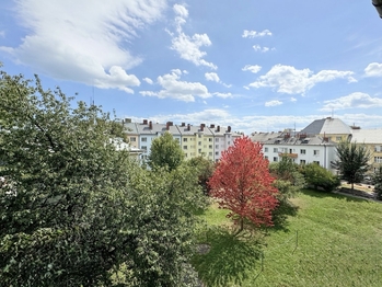 Pronájem bytu 1+1 v osobním vlastnictví 40 m², Ostrava
