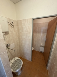 Pronájem obchodních prostor 69 m², Břeclav