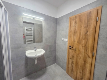 koupelna - Pronájem bytu 1+1 v osobním vlastnictví 44 m², České Budějovice