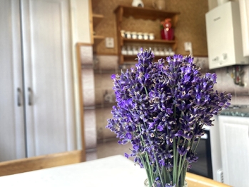 Prodej bytu 3+1 v osobním vlastnictví 66 m², Semily