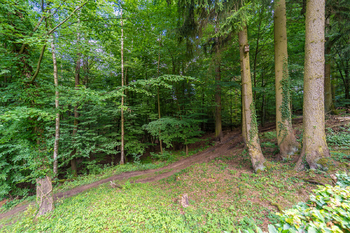 Prodej chaty / chalupy 50 m², Chocerady