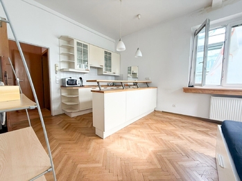 Pronájem bytu 1+kk v osobním vlastnictví 28 m², Praha 7 - Holešovice