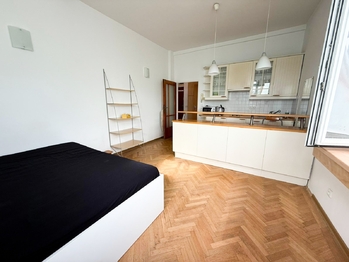 Pronájem bytu 1+kk v osobním vlastnictví 28 m², Praha 7 - Holešovice