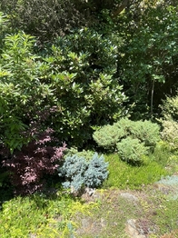 Prodej pozemku 397 m², Jenišov