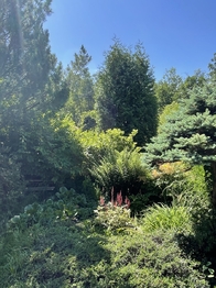Prodej pozemku 397 m², Jenišov