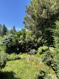 Prodej pozemku 397 m², Jenišov