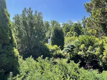 Prodej pozemku 397 m², Jenišov